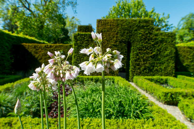 Season Sessions - Kasteel Wijlre