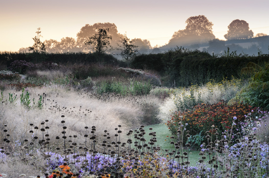 Piet Oudolf | DREAMSCAPES Kunstkerk Dordrecht