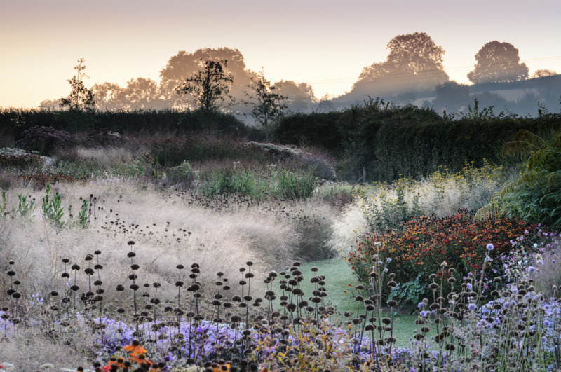 Piet Oudolf | DREAMSCAPES Kunstkerk Dordrecht