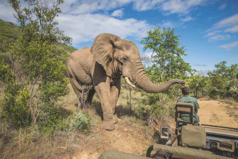 Addo Elephant National Park