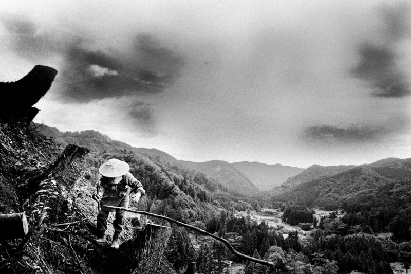 ©Hajime Kimura Matagi 12, 2007-2013 courtesy of IBASHO Gallery