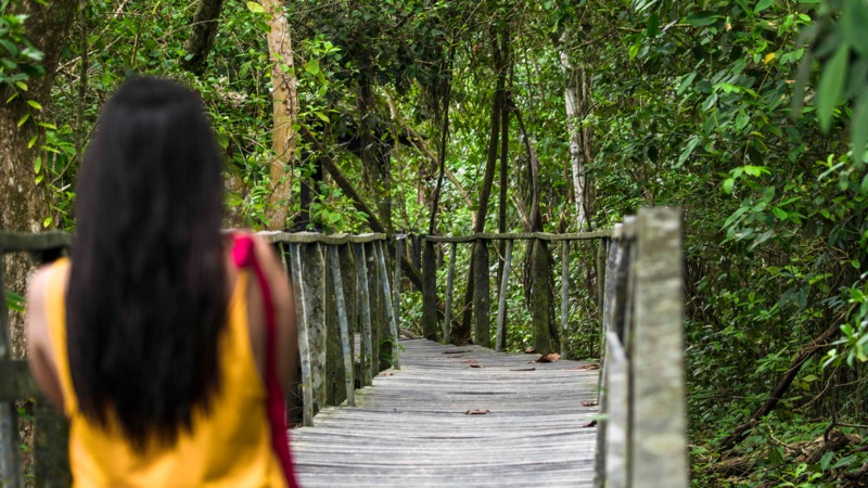 Puenta Cahuita Limon