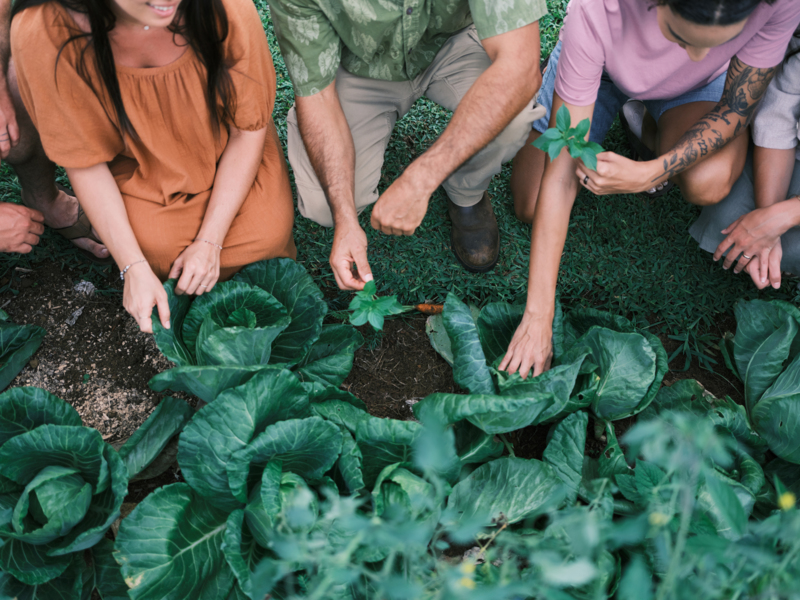 Common Ground, Kilauea, Kauai_Hawaii Tourism Authority (HTA)