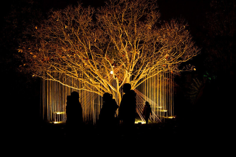 Groene Kerstmarkt Trompenburg