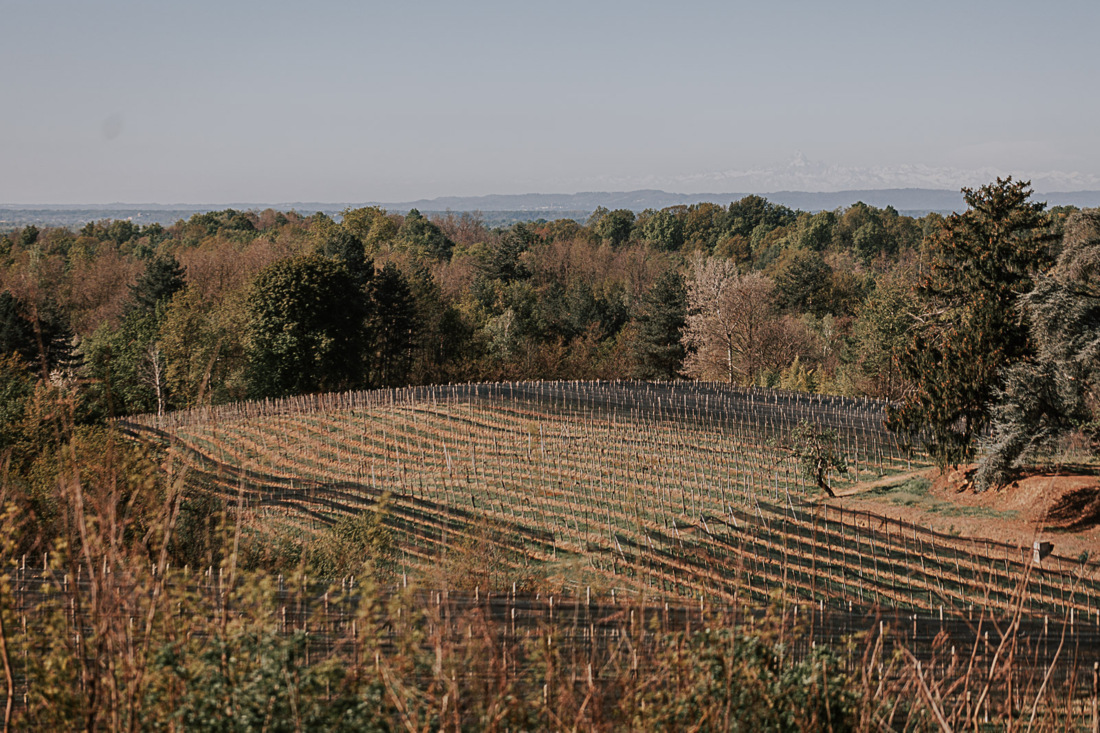 Terroir Piemonte