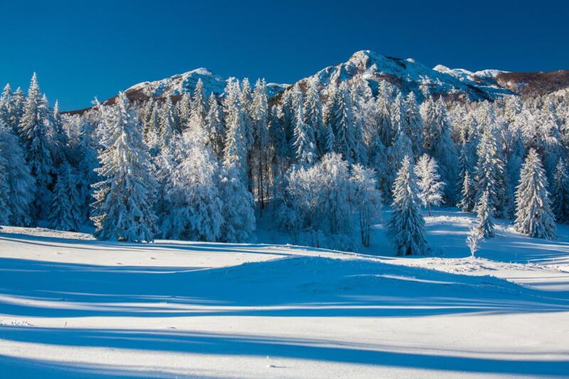 Risnjak National Park Japetova Segina, Croatia © Zoran Jelaka
