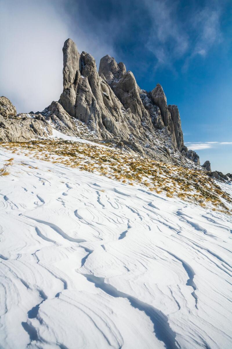 Velebit Tulove © Zoran Jaloca