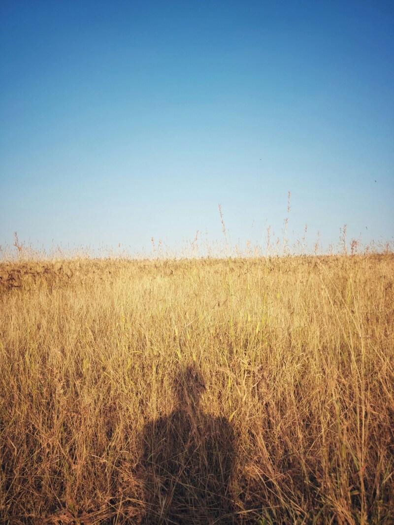 © Very Good - Unsplash